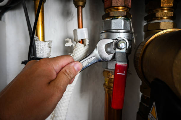 Best Sprinkler Systems  in Kapaau, HI